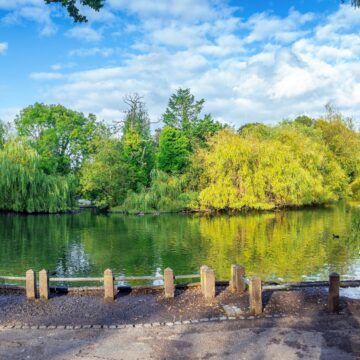 HR Consultancy in Orpington