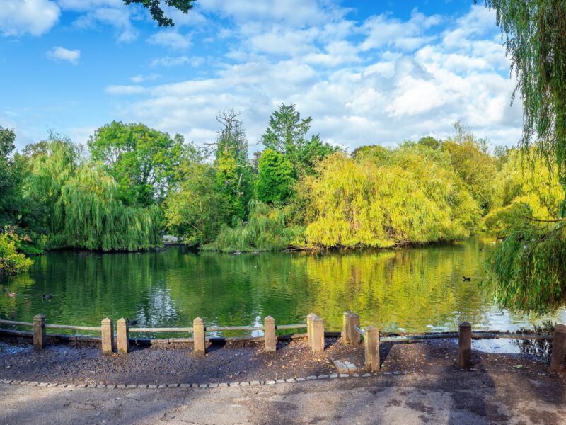 HR Consultancy in Orpington